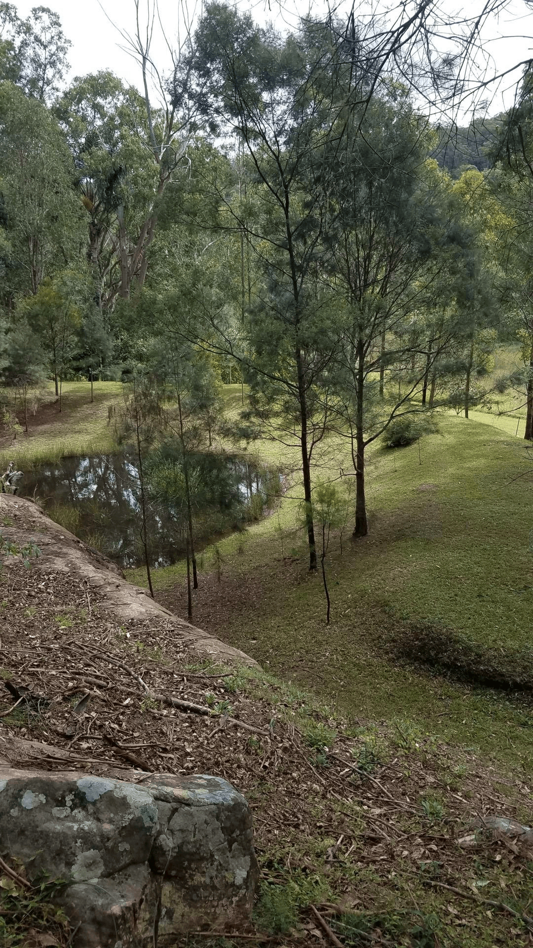 84 Angel Lane, WOLLOMBI, NSW 2325