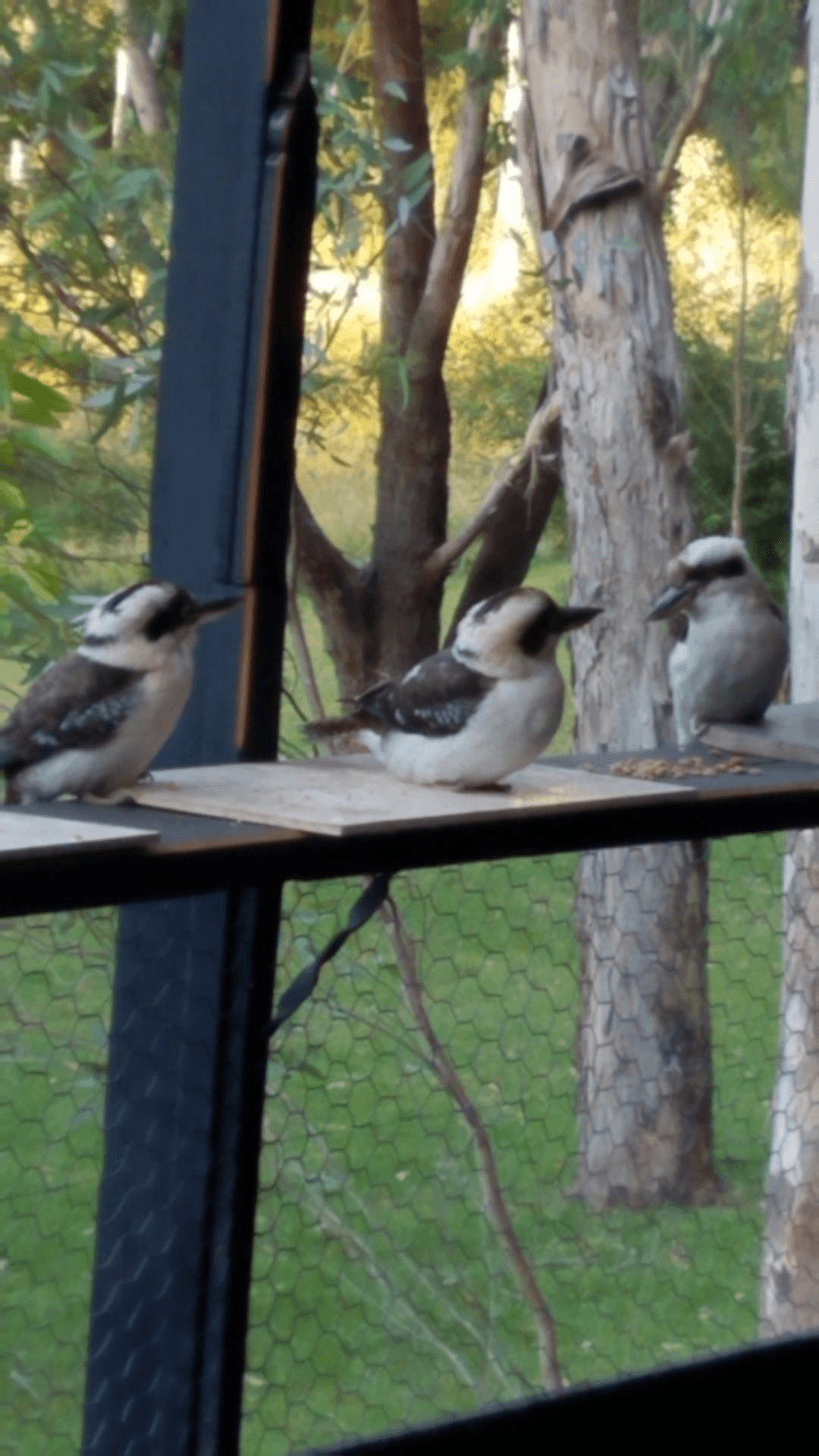84 Angel Lane, WOLLOMBI, NSW 2325
