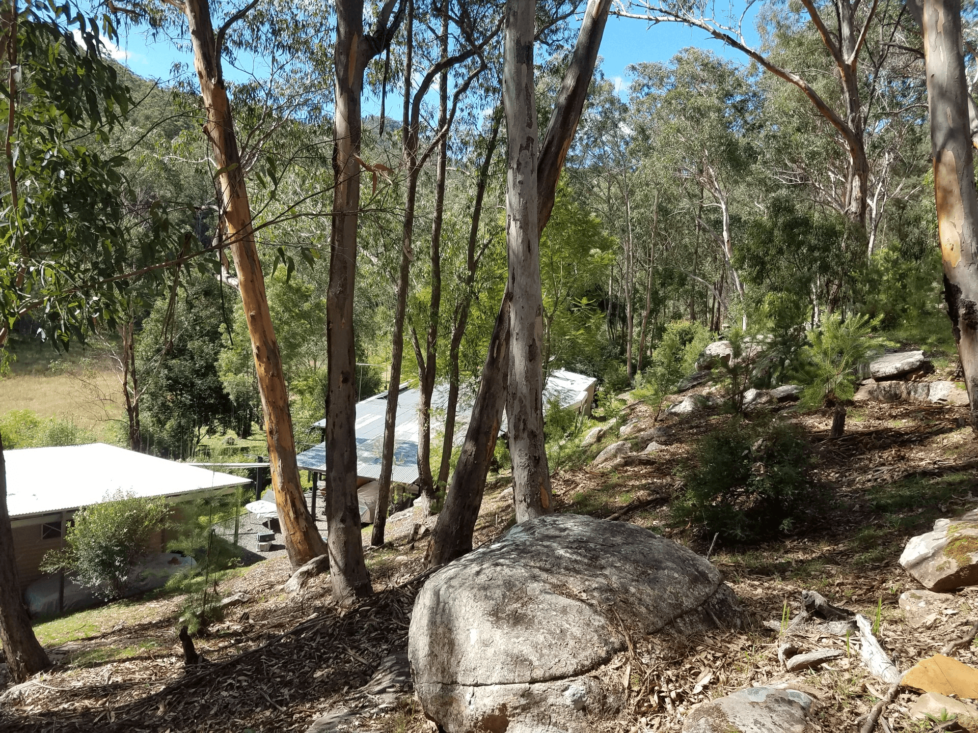84 Angel Lane, WOLLOMBI, NSW 2325