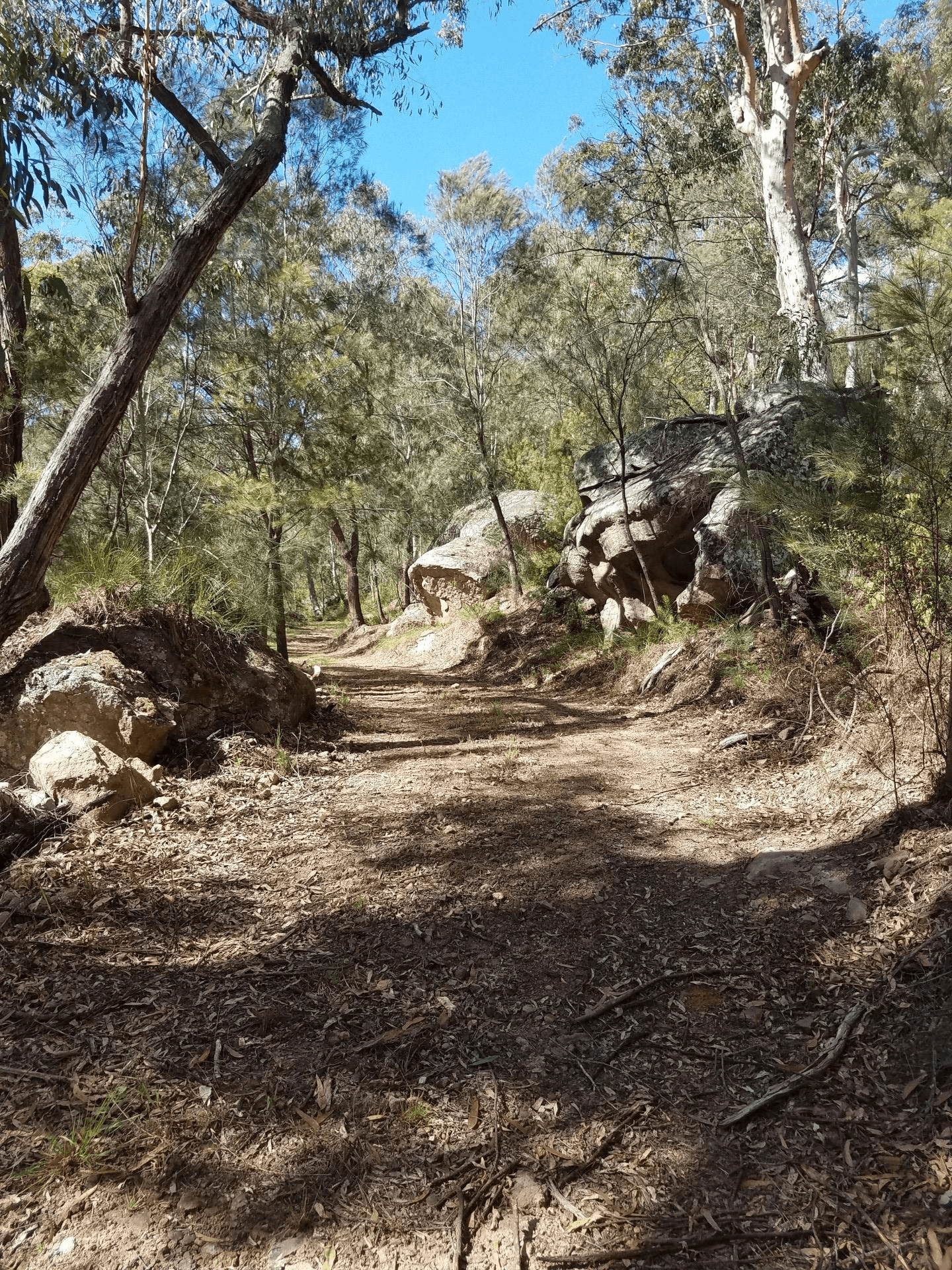 84 Angel Lane, WOLLOMBI, NSW 2325