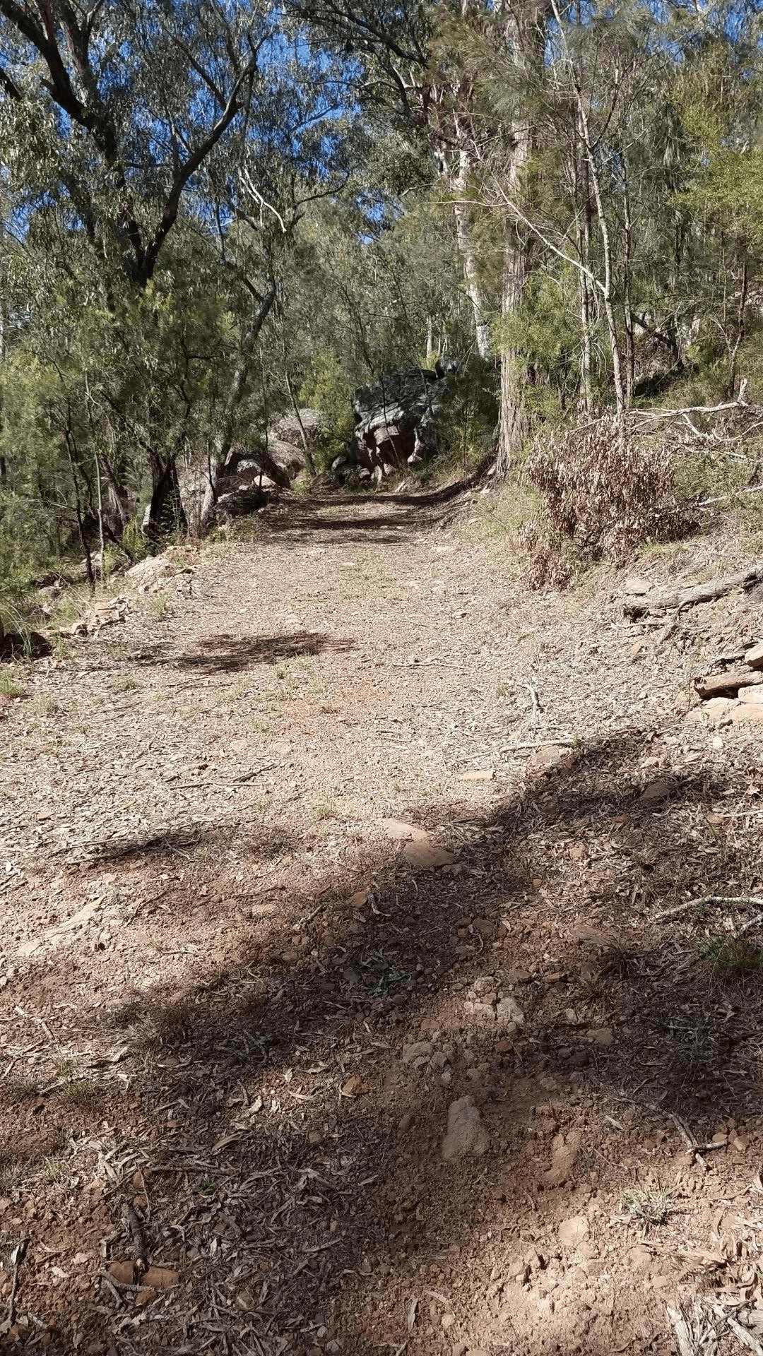 84 Angel Lane, WOLLOMBI, NSW 2325