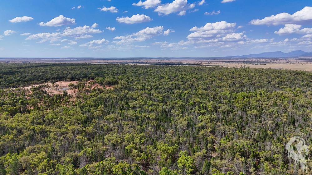 559 Kaputar Road, NARRABRI, NSW 2390