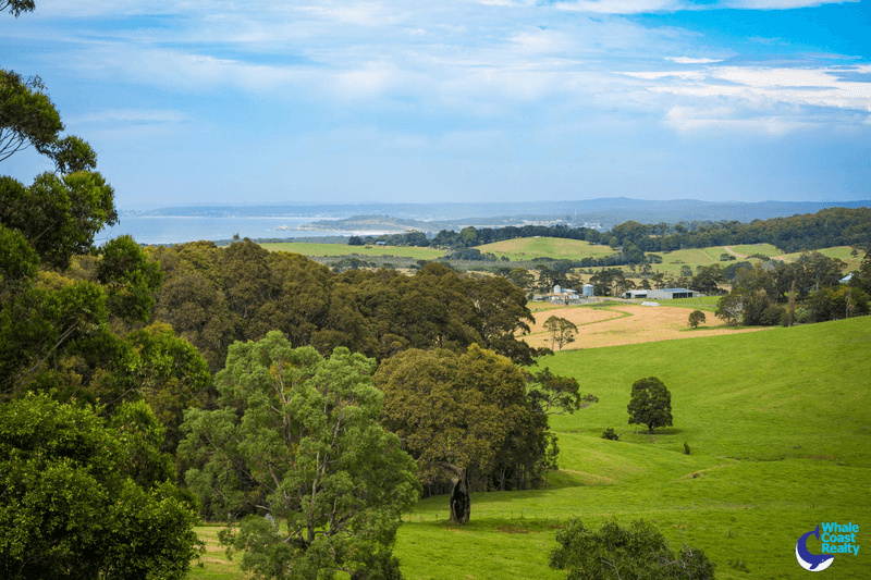 126 Haxstead Road, CENTRAL TILBA, NSW 2546