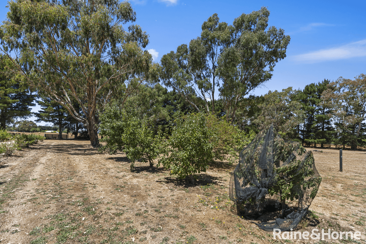 964 Kyneton-Metcalfe Road, GREENHILL, VIC 3444