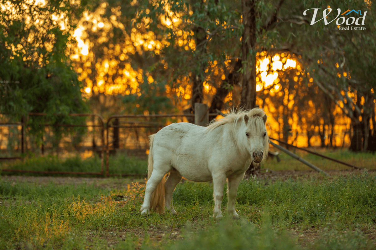 255 Glenellen Rd, GLENELLEN, NSW 2642