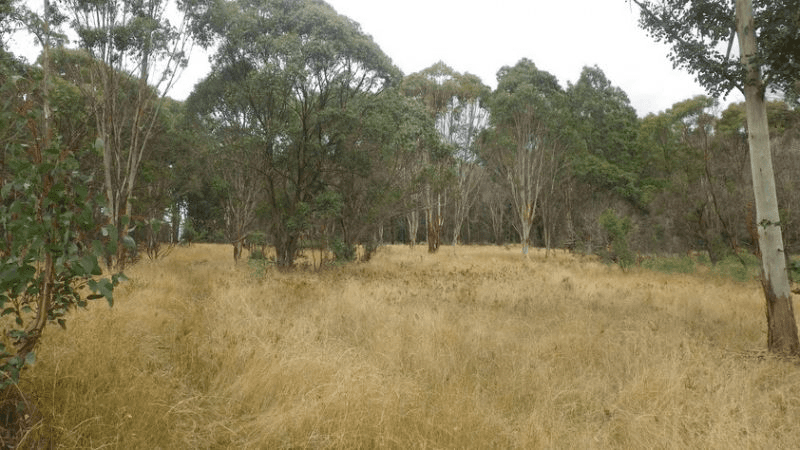 Lot 5 Elliott Way, Tumbarumba, NSW 2653