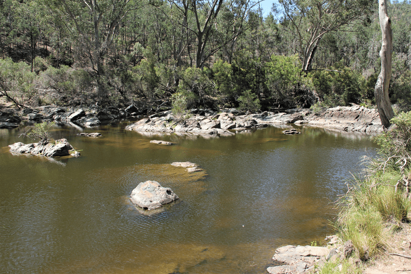 4296 Bruxner Way, TENTERFIELD, NSW 2372