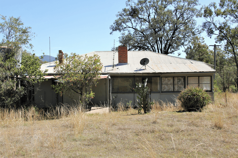 4296 Bruxner Way, TENTERFIELD, NSW 2372