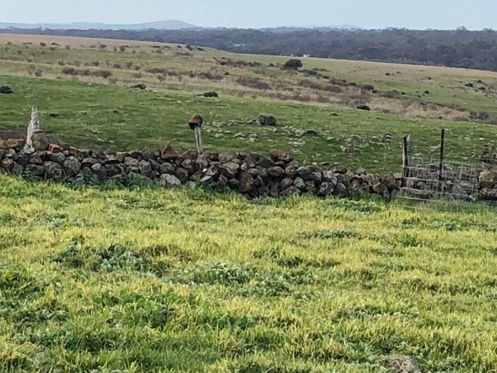 Mt Greenoch Road, Red Lion, VIC 3371