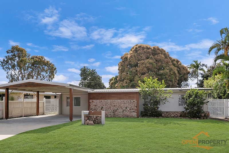 19 Sweet St, Mundingburra, QLD 4812