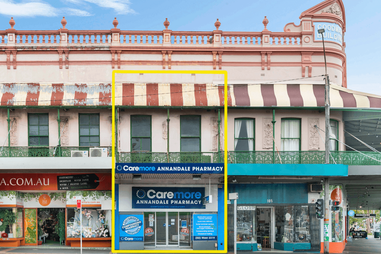107 Parramatta Road, ANNANDALE, NSW 2038