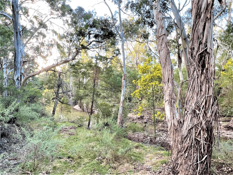 Lot 8 Jerrara Valley Jerrara Road, Marulan, NSW 2579