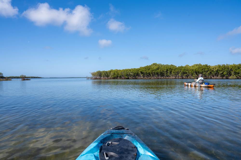 33 Mangrove View, Moonee Beach, NSW 2450