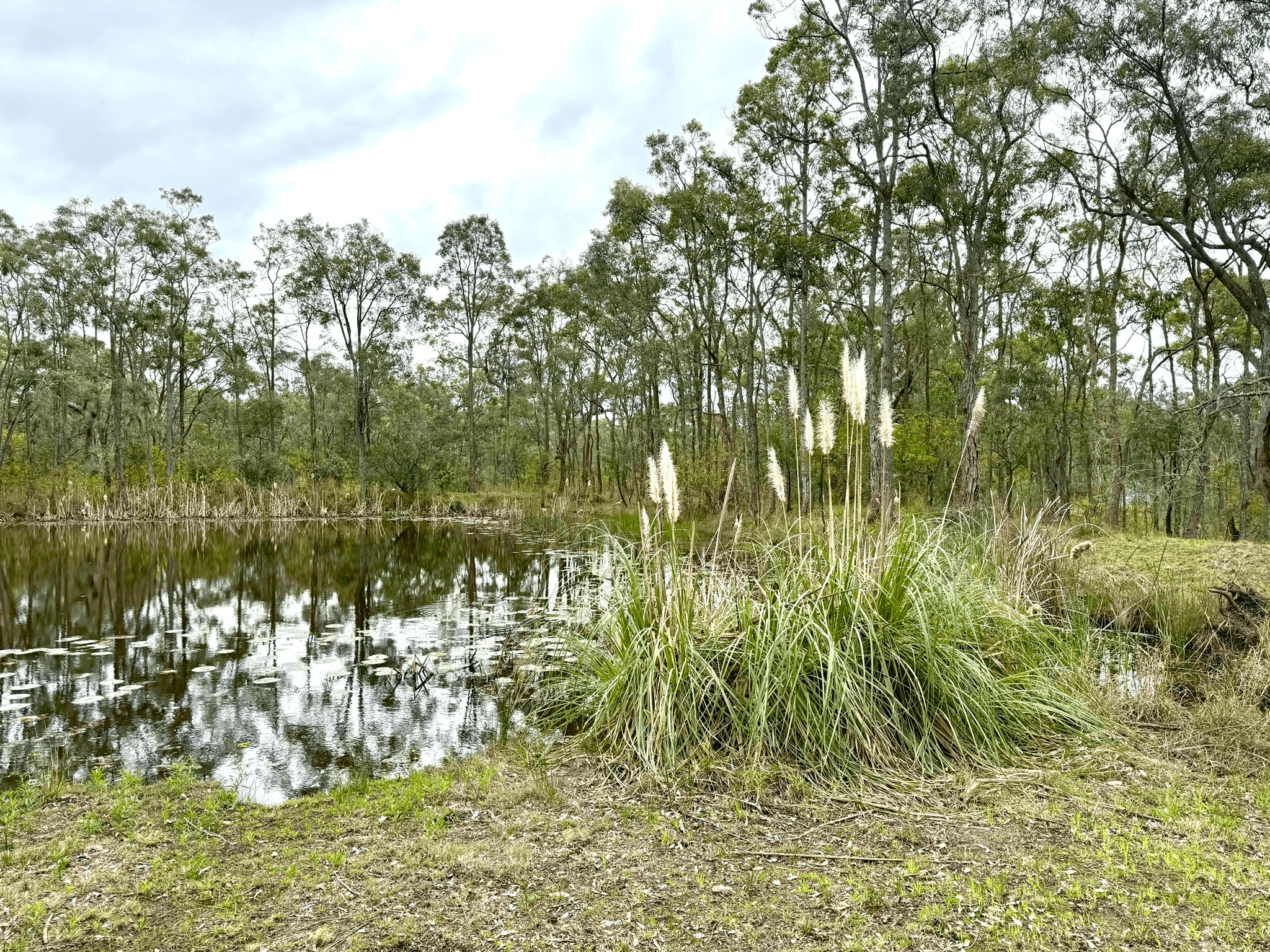 21 The Ballabourneen, LOVEDALE, NSW 2325