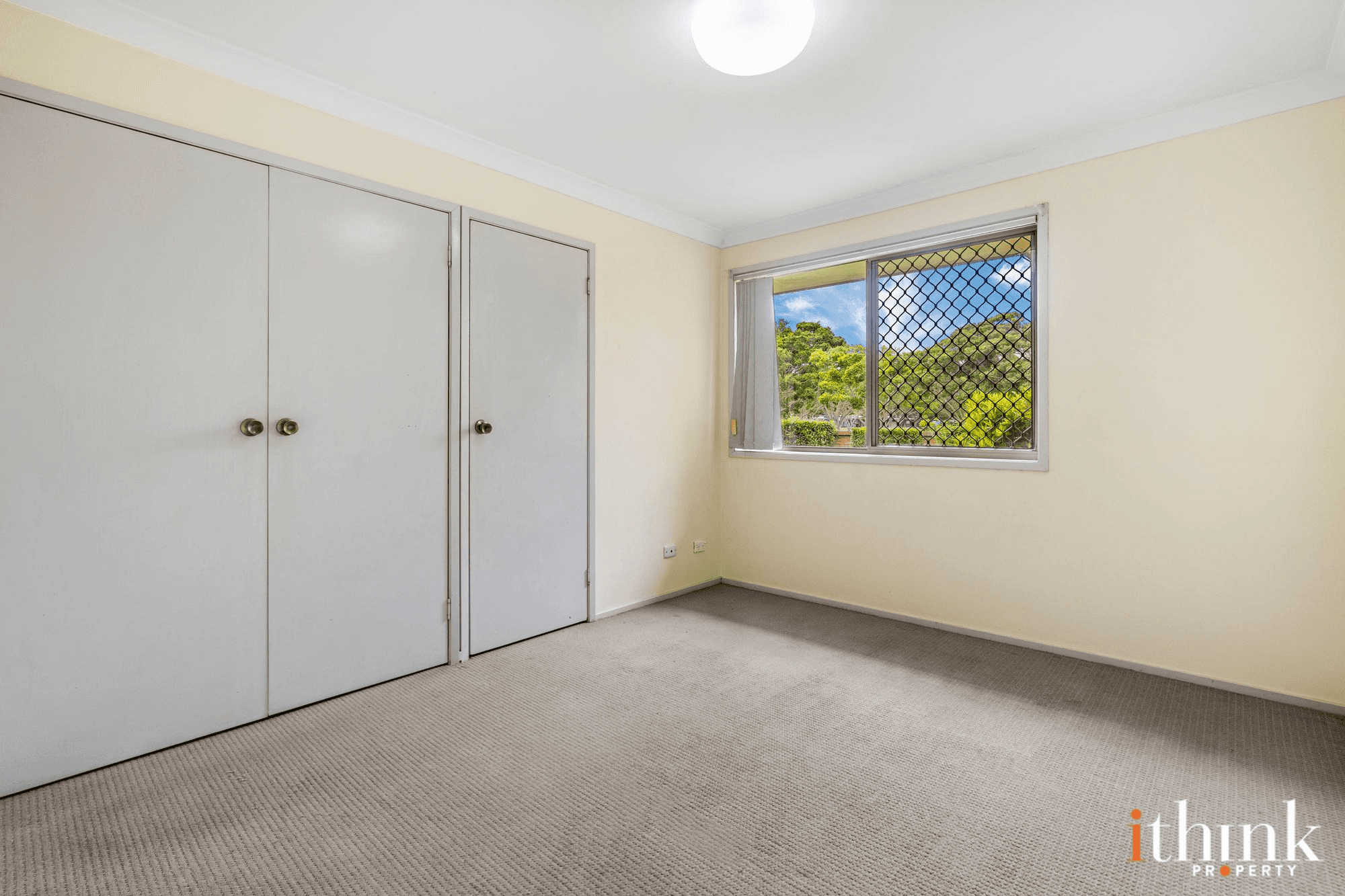 14 Avocado Street, ELANORA, QLD 4221