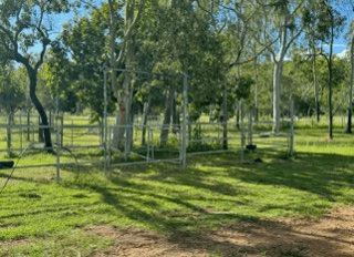 288F Old Coach Road, MAJORS CREEK, QLD 4816