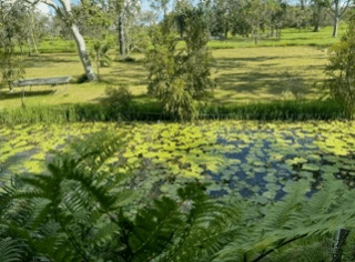 288F Old Coach Road, MAJORS CREEK, QLD 4816