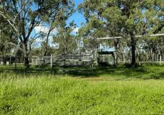 288F Old Coach Road, MAJORS CREEK, QLD 4816