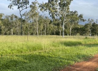 288F Old Coach Road, MAJORS CREEK, QLD 4816