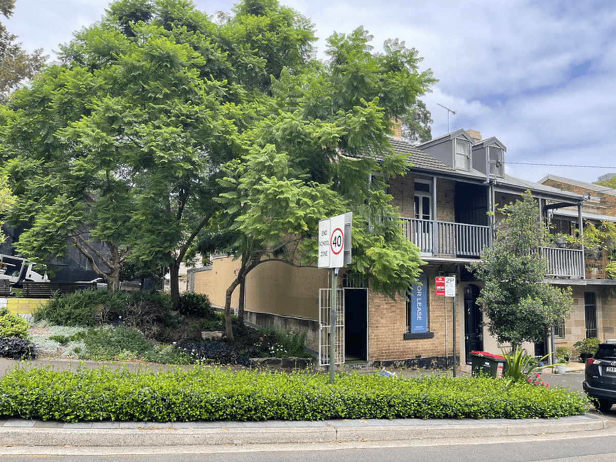 113 Stanley Street, Darlinghurst, NSW 2010