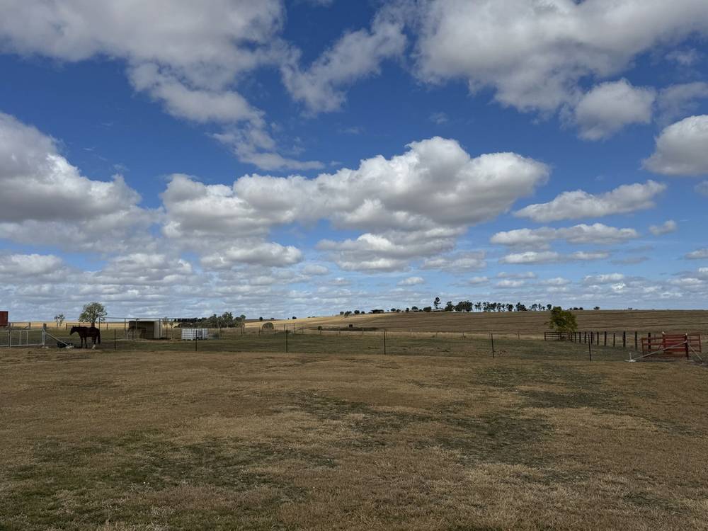 52 Luthje Road, MONTO, QLD 4630