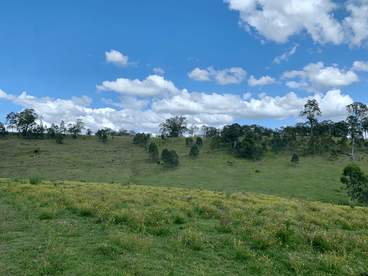 Lot 188 Mackay Street, DUNGOG, NSW 2420