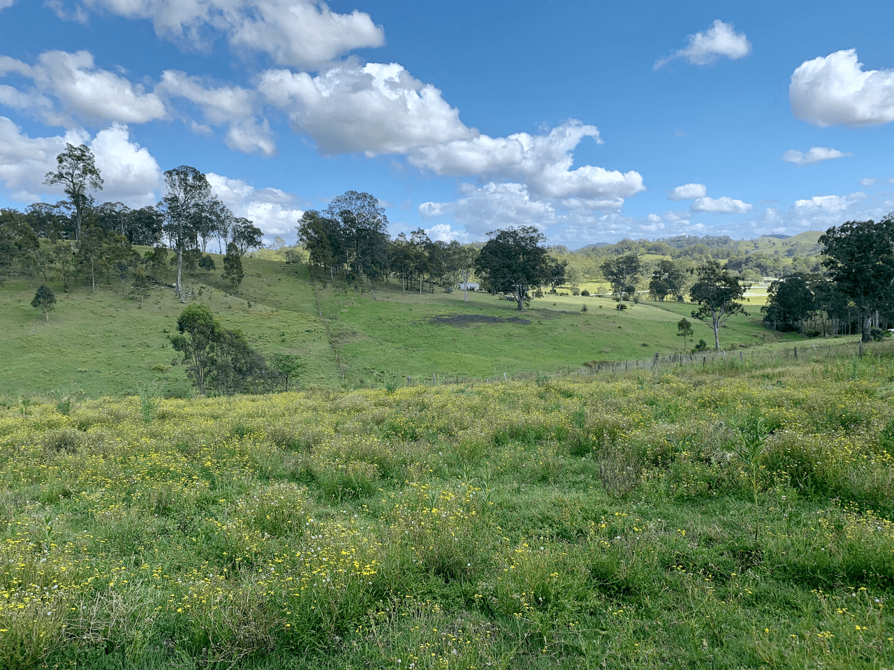 Lot 188 Mackay Street, DUNGOG, NSW 2420