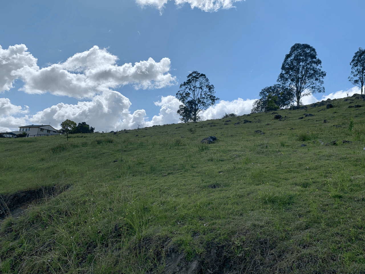 Lot 188 Mackay Street, DUNGOG, NSW 2420