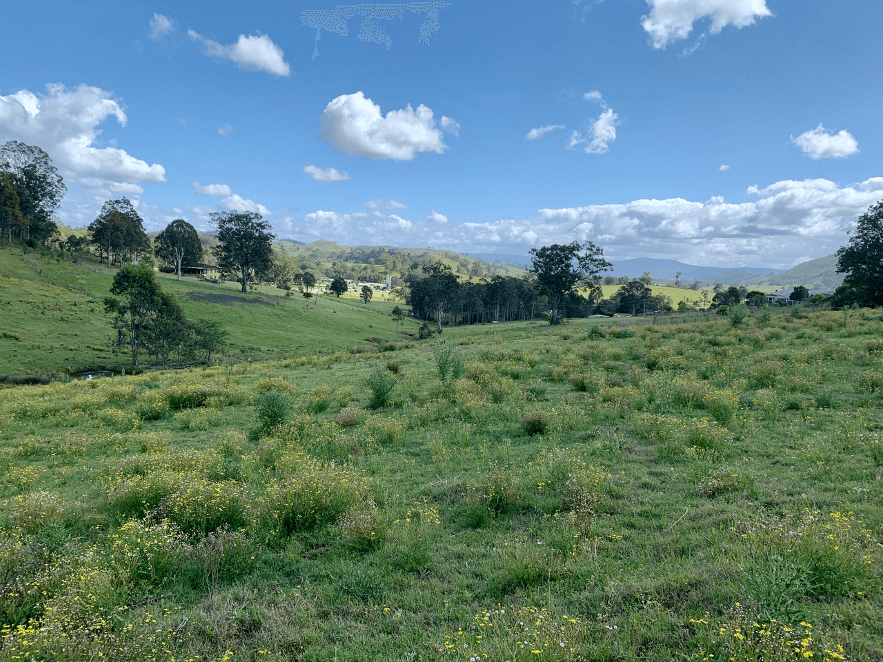 Lot 188 Mackay Street, DUNGOG, NSW 2420