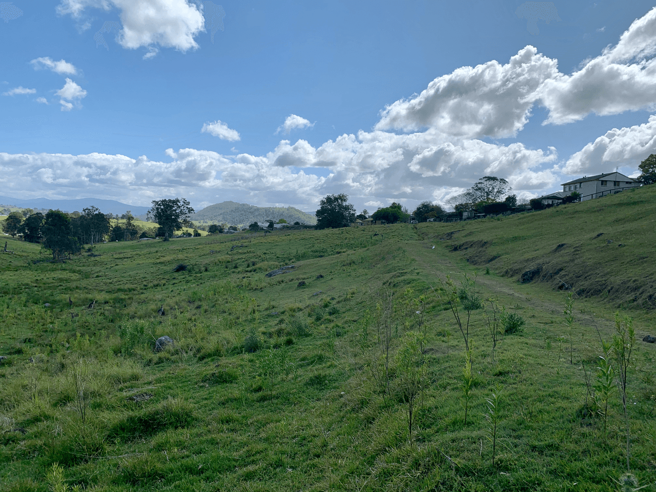 Lot 188 Mackay Street, DUNGOG, NSW 2420