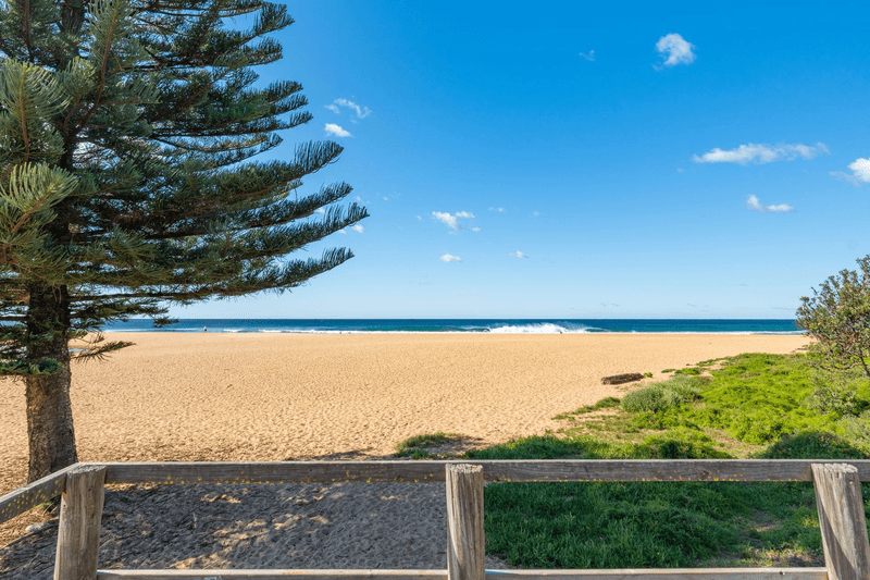 1/2 Ficus Avenue, Avoca Beach, NSW 2251