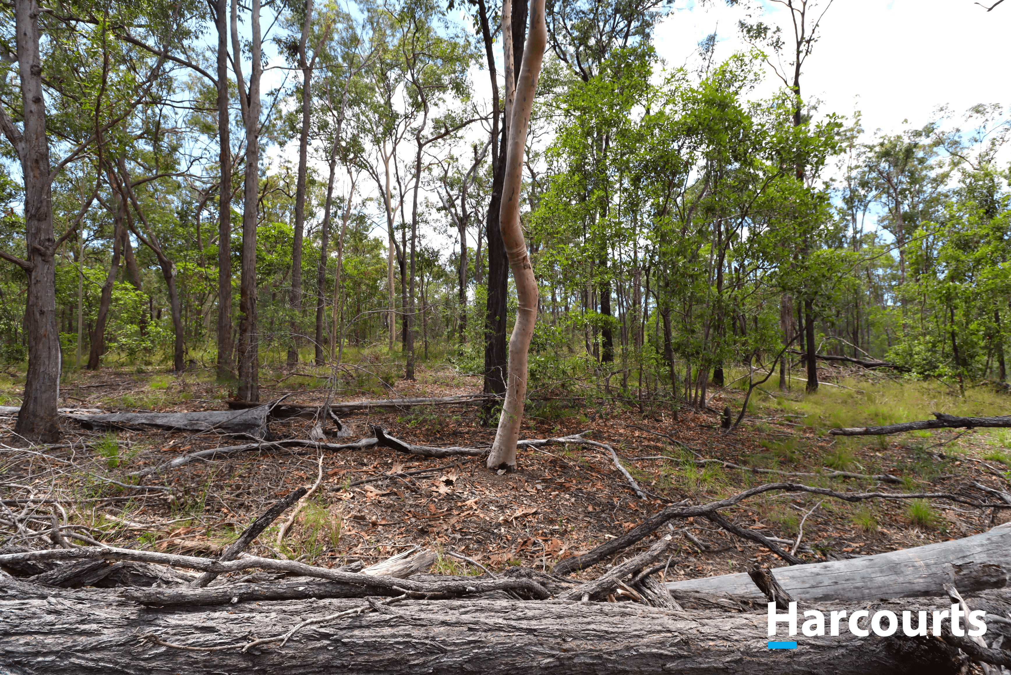 29790 Bruce Highway, APPLE TREE CREEK, QLD 4660