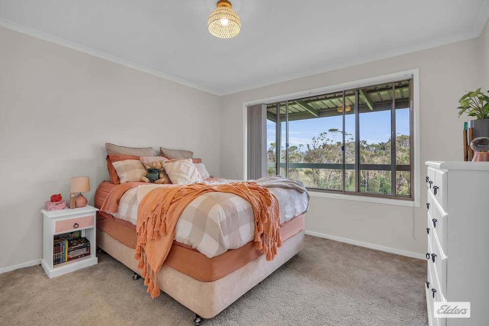 213 Myrtle Mountain Road, Wyndham, NSW 2550