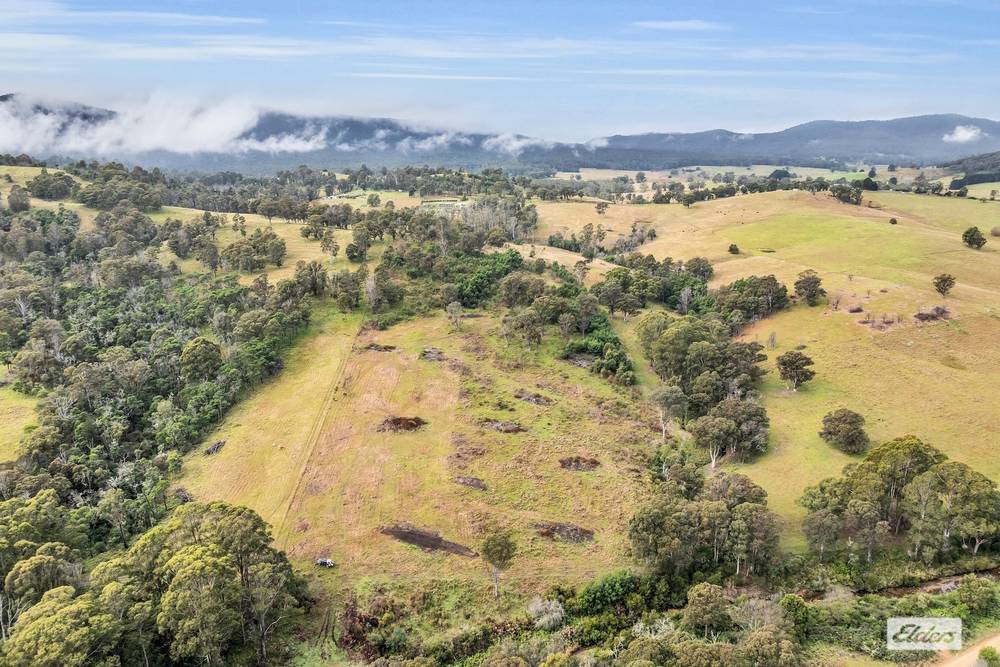 213 Myrtle Mountain Road, Wyndham, NSW 2550