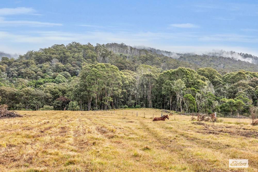 213 Myrtle Mountain Road, Wyndham, NSW 2550