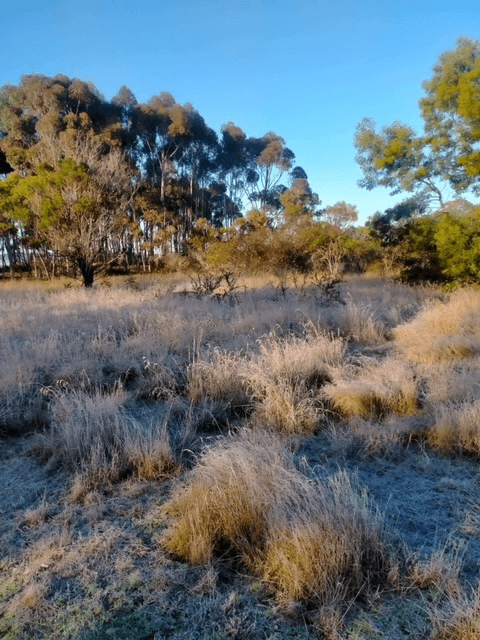 10 Landseer Street, WICKLIFFE, VIC 3379