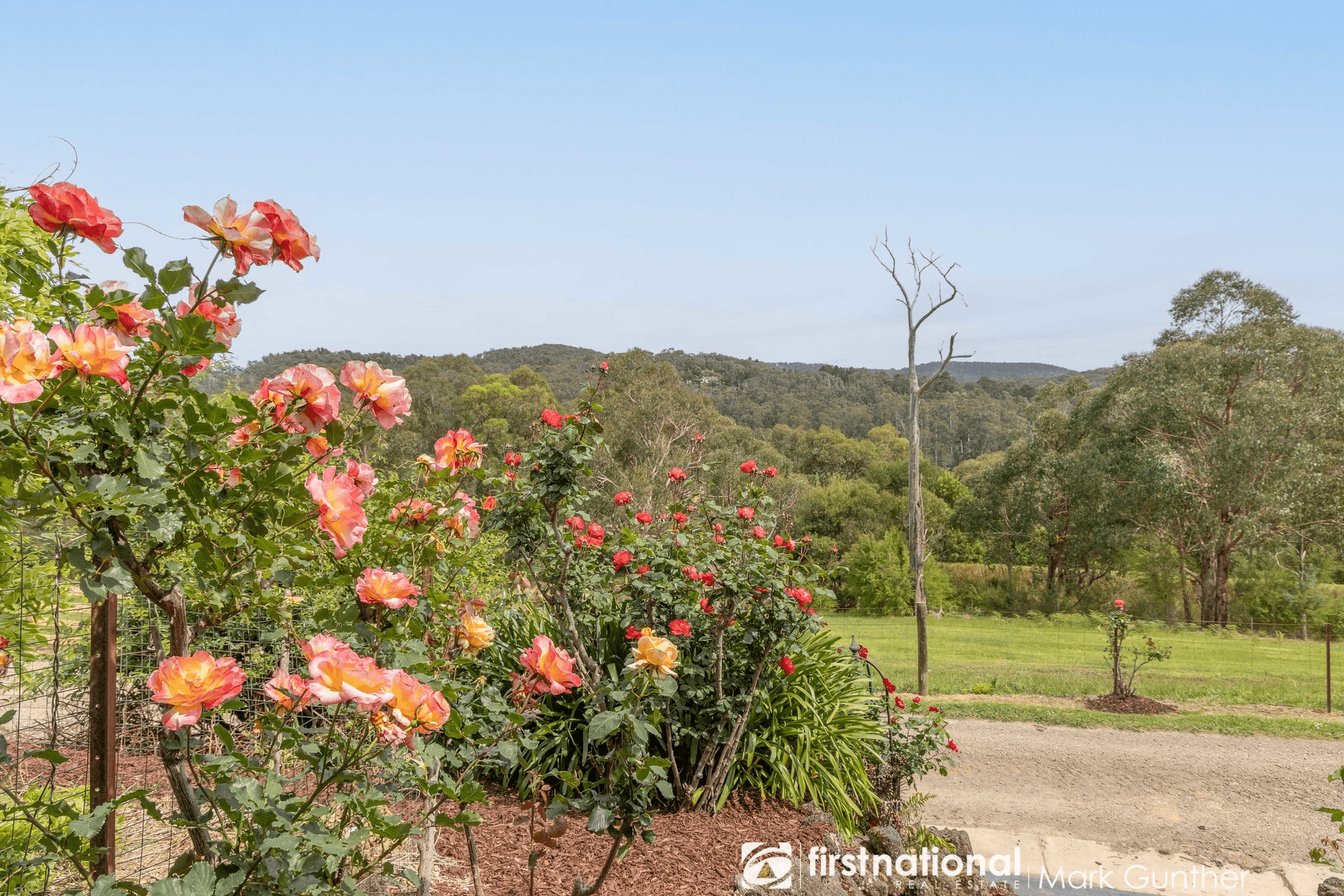 115 Donnellys Weir Road, Healesville, VIC 3777