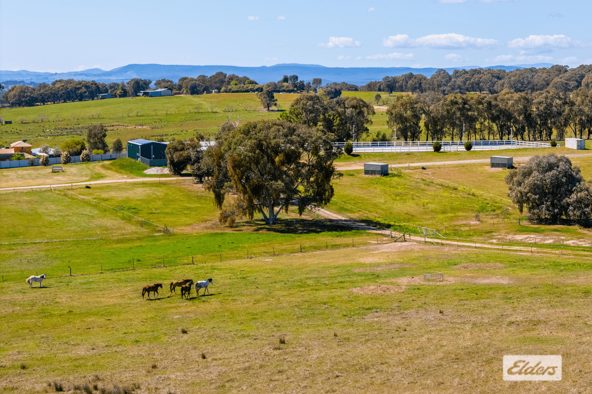 201 Gayfer Road, Chiltern, VIC 3683