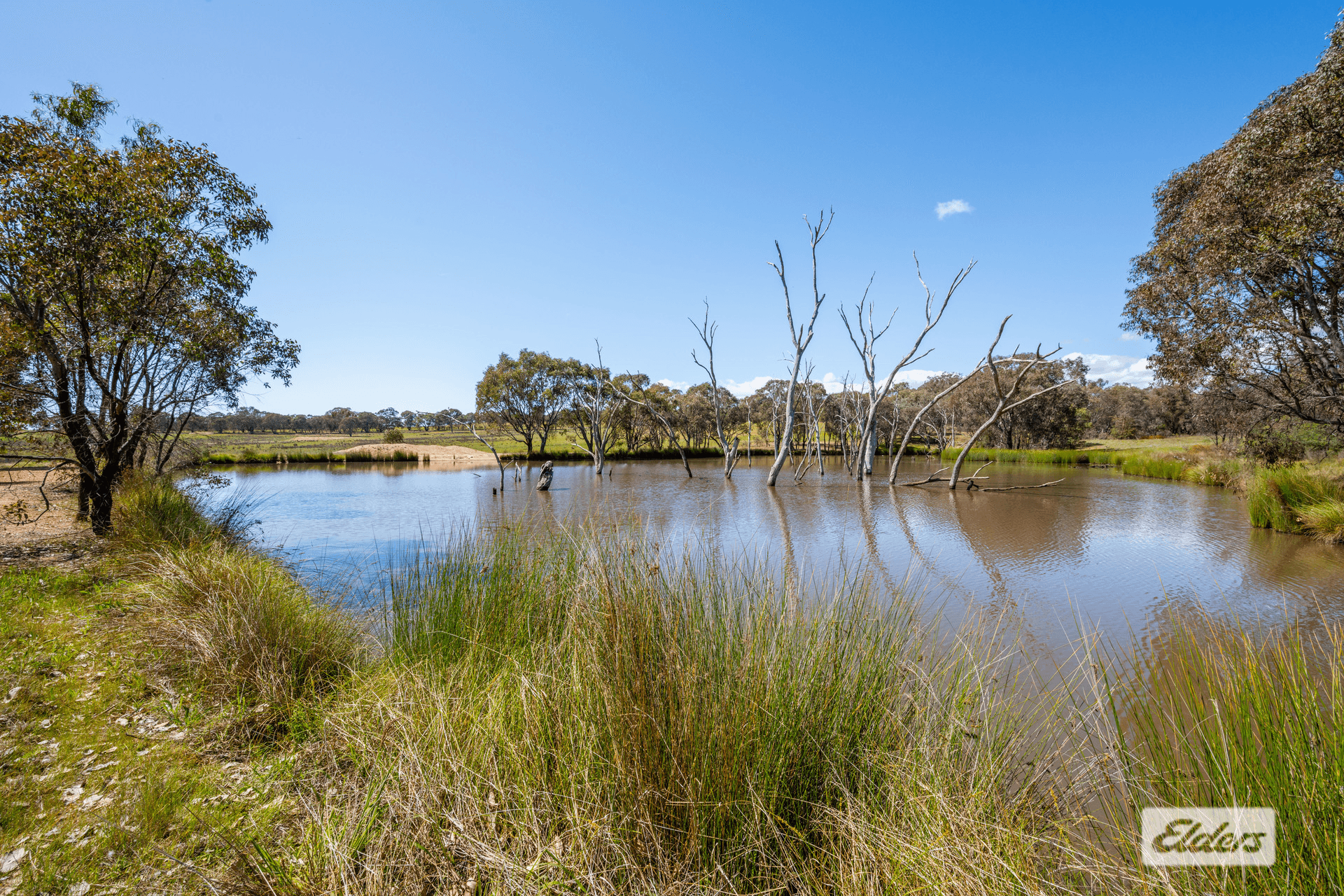 201 Gayfer Road, Chiltern, VIC 3683