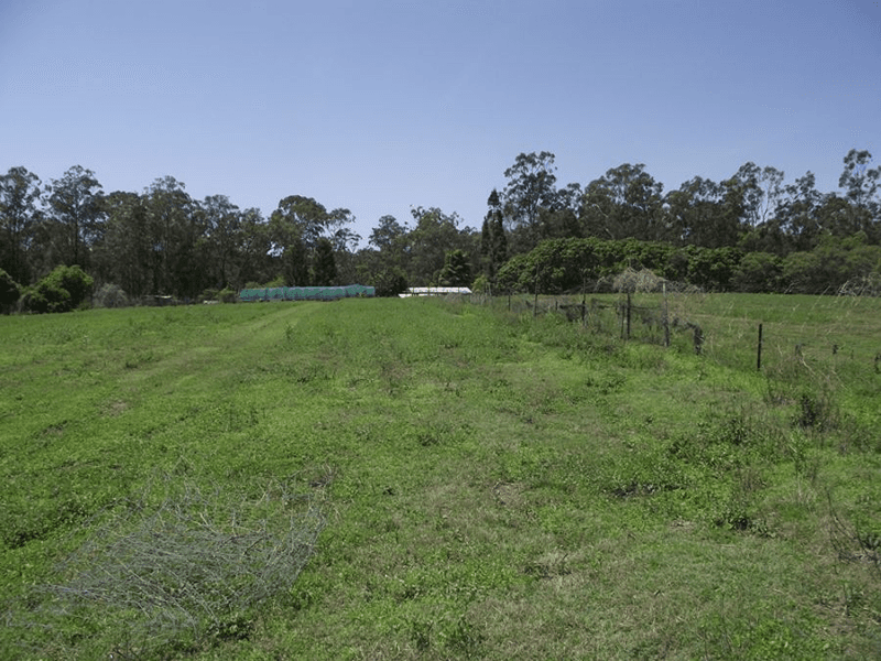 121 Coombes Rd, BAUPLE, QLD 4650