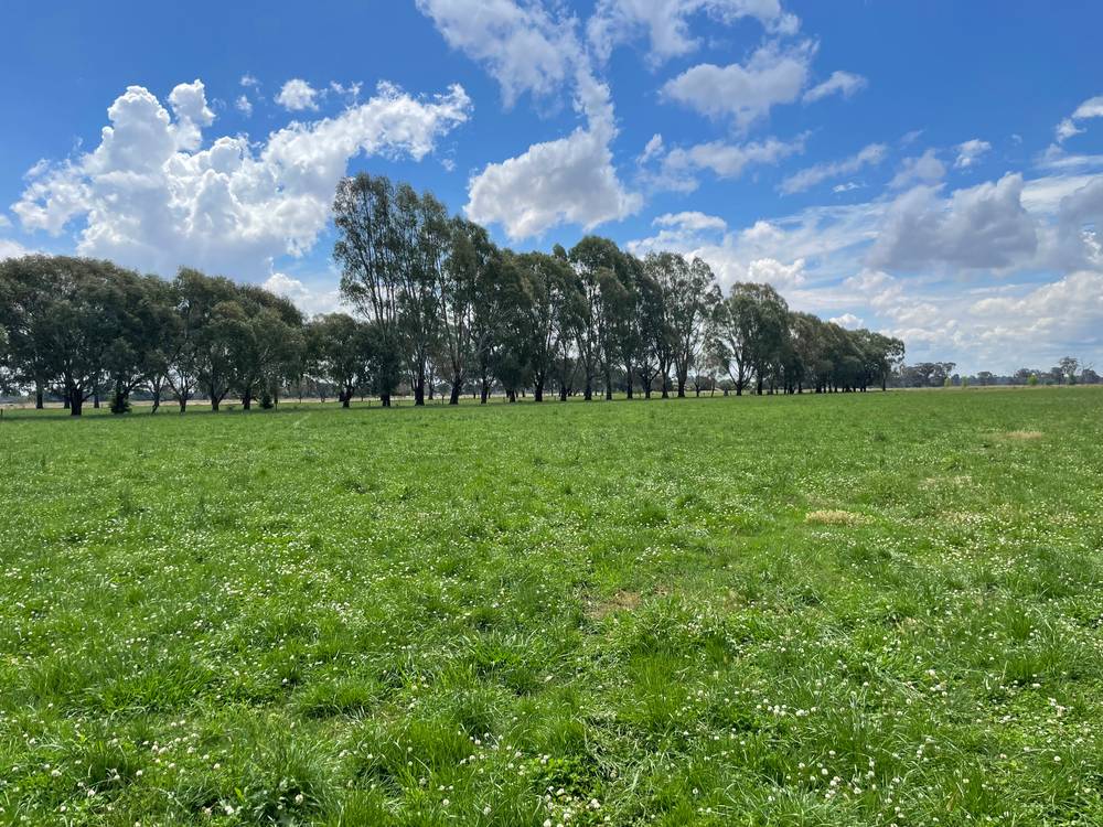 630 Morrissey Road, GIRGARRE, VIC 3624