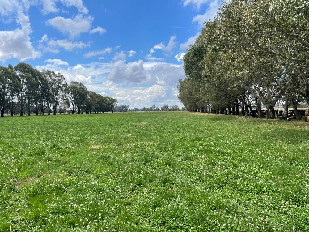 630 Morrissey Road, GIRGARRE, VIC 3624
