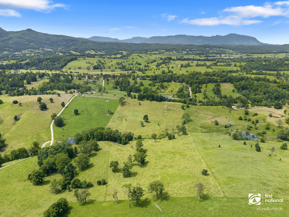 346 Pinnacle Road, Pumpenbil, NSW 2484