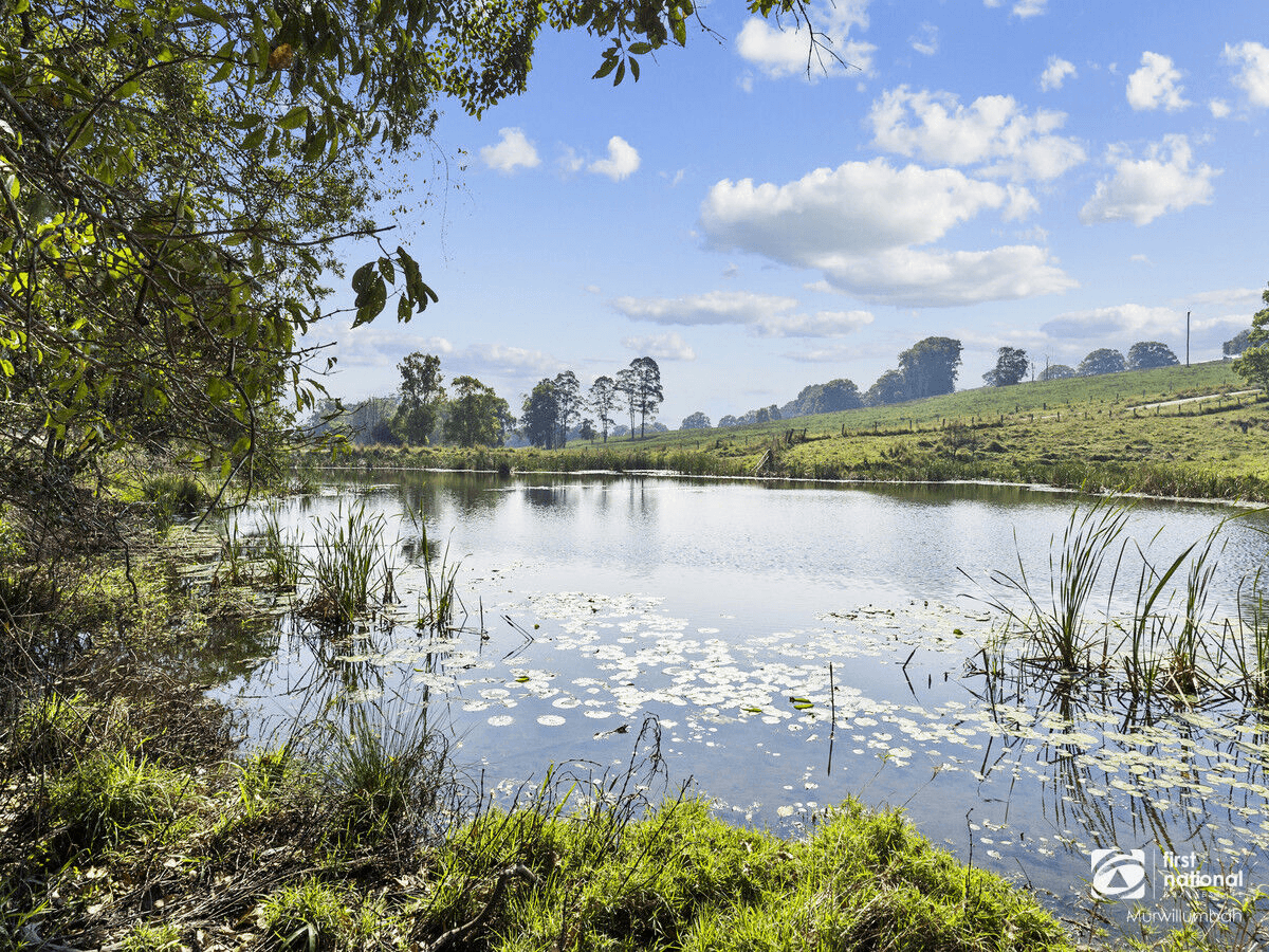 346 Pinnacle Road, Pumpenbil, NSW 2484