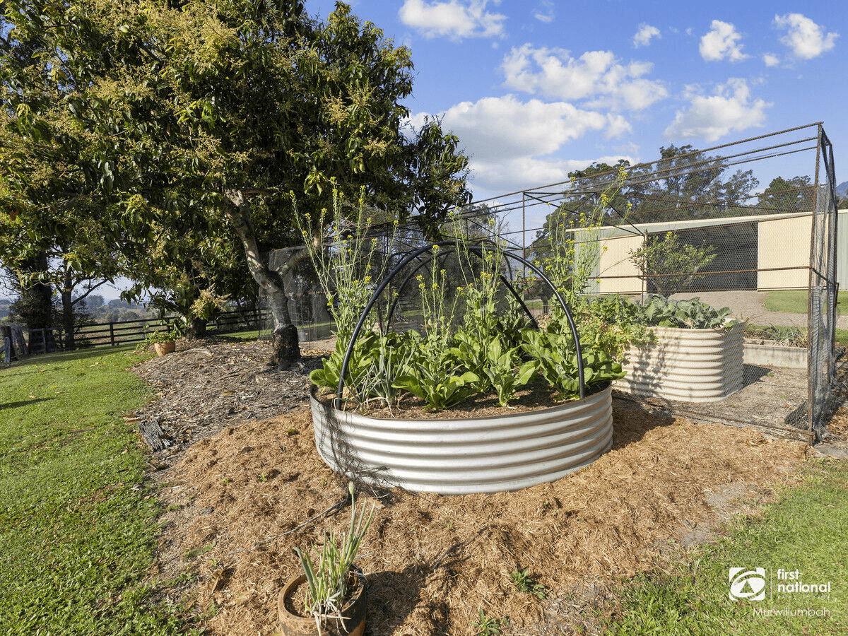 346 Pinnacle Road, Pumpenbil, NSW 2484