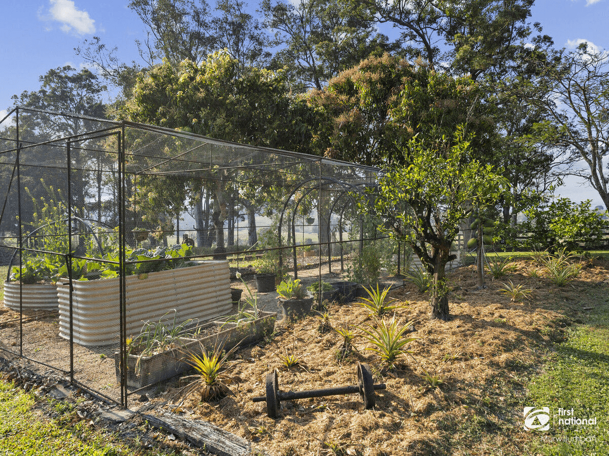 346 Pinnacle Road, Pumpenbil, NSW 2484