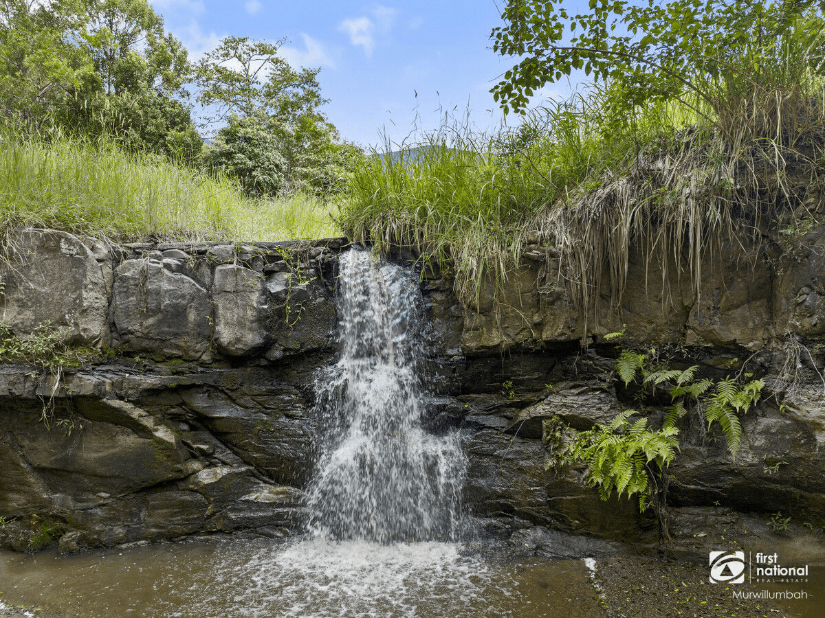 346 Pinnacle Road, Pumpenbil, NSW 2484
