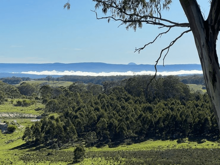 204 Wylie Creek Road, WYLIE CREEK, NSW 2372