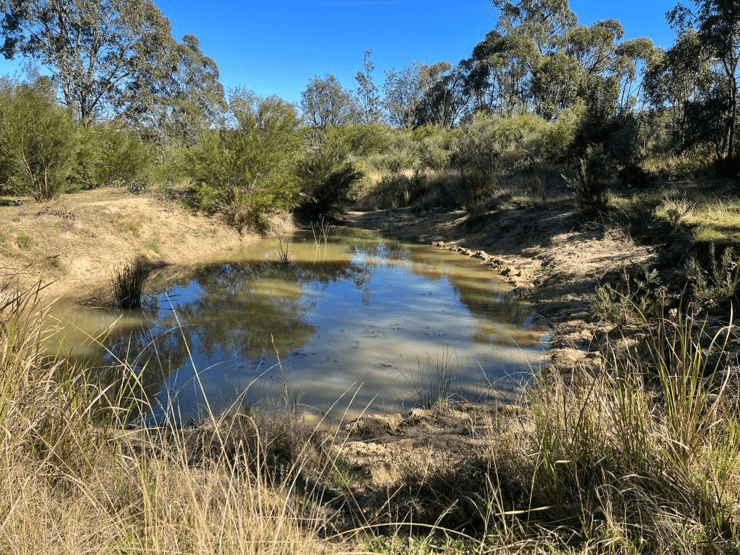 204 Wylie Creek Road, WYLIE CREEK, NSW 2372