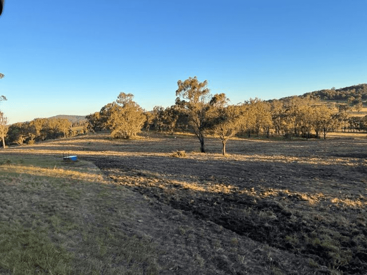 204 Wylie Creek Road, WYLIE CREEK, NSW 2372